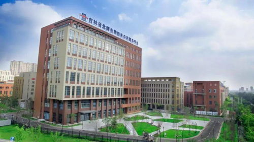 北科建长春北湖科技园 立足科技地产 为区域发展赋能