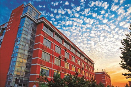 你想知道的 北京科技大学天津学院